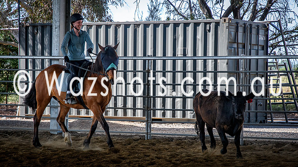 20231112 Amerigo Campdraft-6