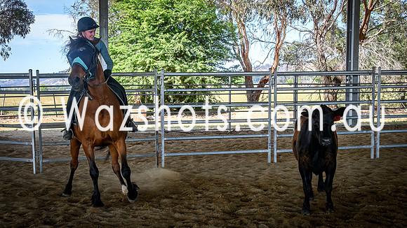 20231112 Amerigo Campdraft-8