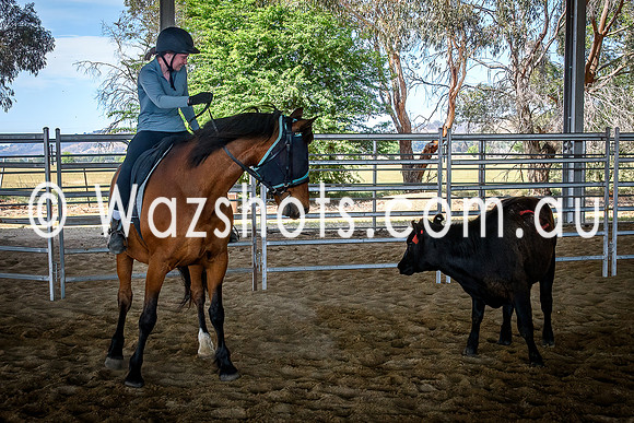 20231112 Amerigo Campdraft-9