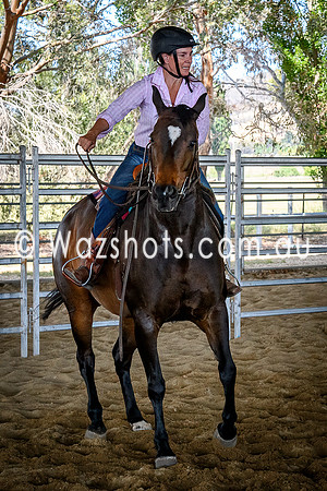 20231112 Amerigo Campdraft-11
