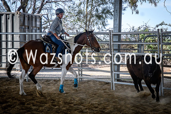 20231112 Amerigo Campdraft-13