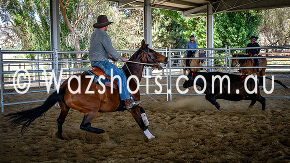 20231112 Amerigo Campdraft-15
