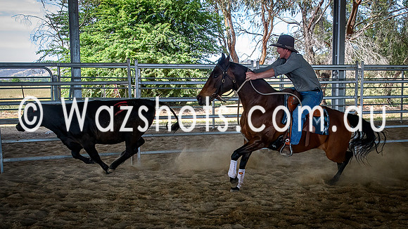 20231112 Amerigo Campdraft-18