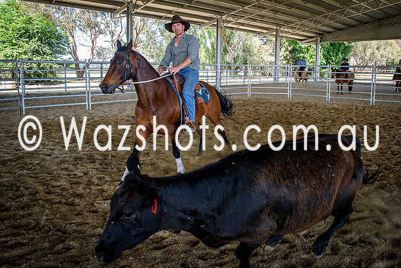 20231112 Amerigo Campdraft-21