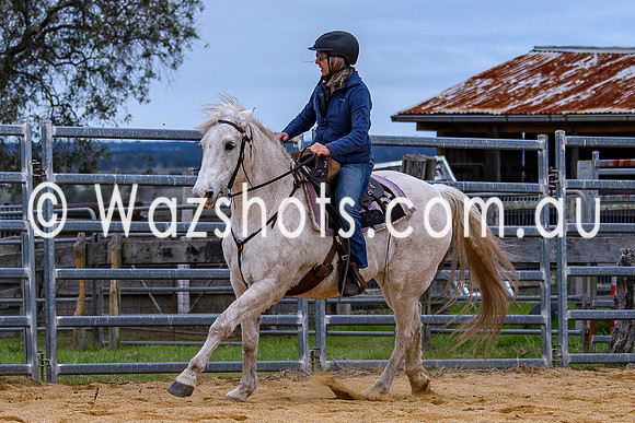20240519 Calulu Creek Team Penning-18