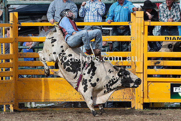 2020 QBN Rodeo-9.jpg