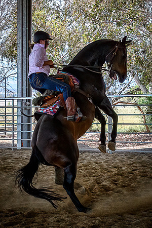 20231112 Amerigo Campdraft-29