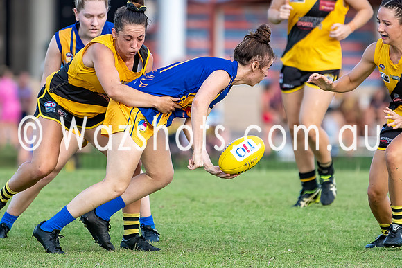 20201017 WPL v Tigers-17.jpg
