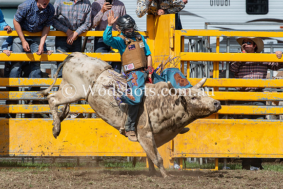 2020 QBN Rodeo-8.jpg