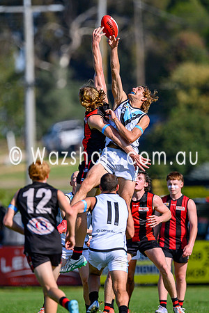 20250412 Maffra v Wonthaggi SNR-33
