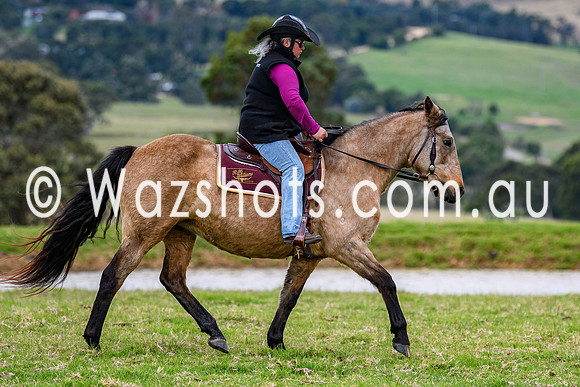 20240519 Calulu Creek Team Penning-7