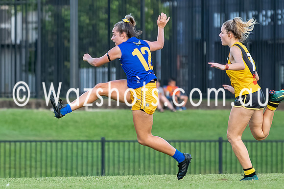 20201017 WPL v Tigers-22.jpg