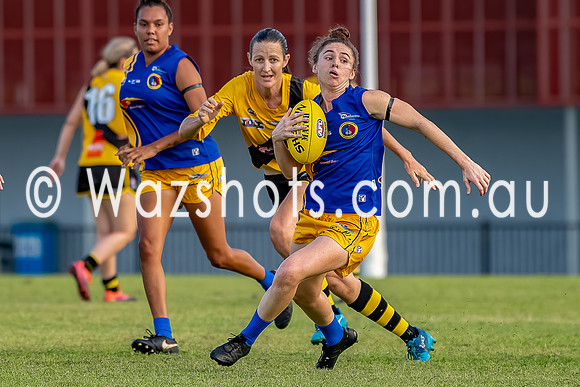 20201017 WPL v Tigers-5.jpg