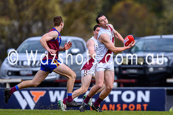 20240914 Prelim Moe v Traralgon Seniors-5