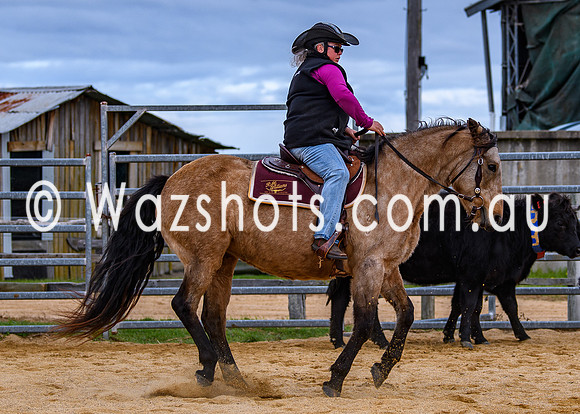 20240519 Calulu Creek Team Penning-20