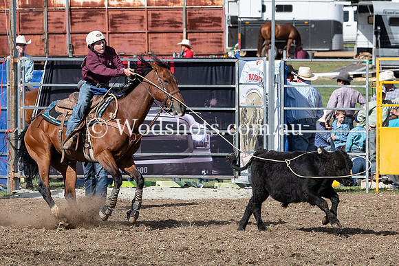 2020 QBN Rodeo-15.jpg