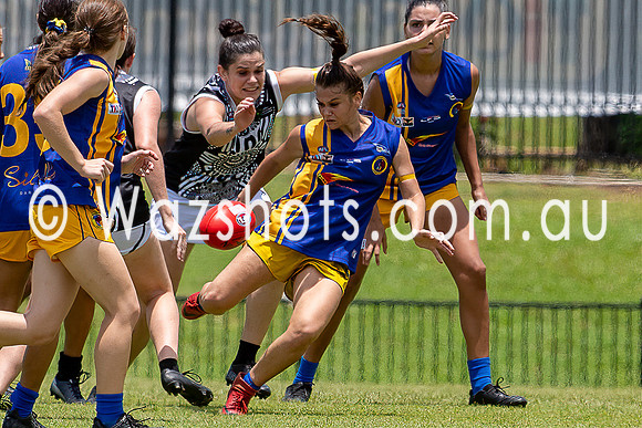 20201121 WPL v Magpies-9.jpg