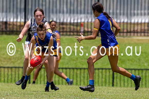 20201121 WPL v Magpies-28.jpg