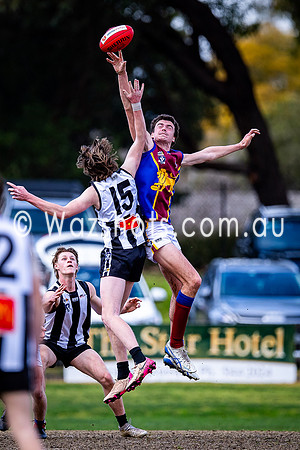 RD15 Sale v Moe 18s-01
