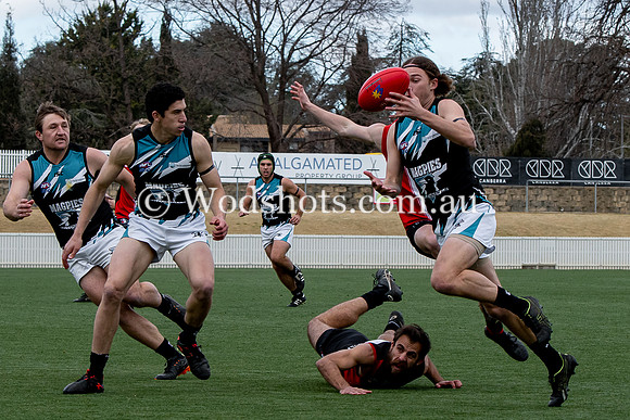 20190907 AFLCBR 1sts GF-15.jpg