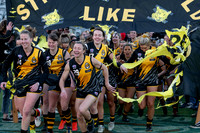 20190907 AFLCBR WMS GF-4.jpg