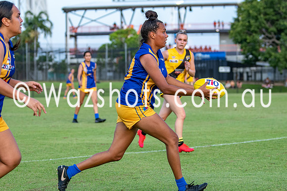20201017 WPL v Tigers-13.jpg