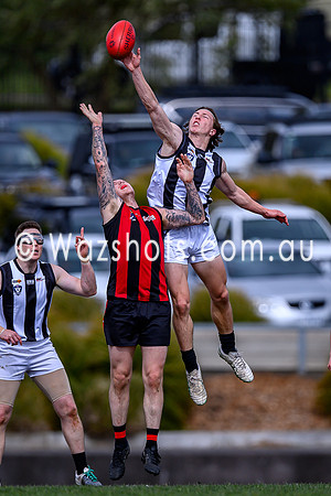 20240908 1st SF Sale v Maffra Reserves-78