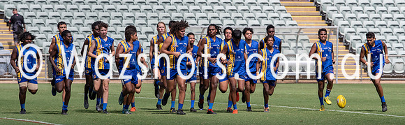 20210227 U18 v Tigers-1.jpg
