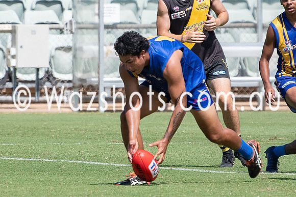 20210227 U18 v Tigers-5.jpg