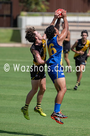 20210227 U18 v Tigers-9.jpg