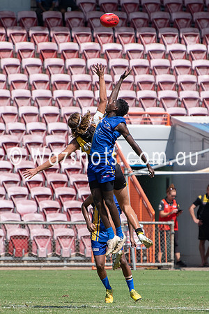 20210227 U18 v Tigers-11.jpg