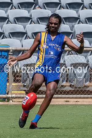 20210227 U18 v Tigers-21.jpg