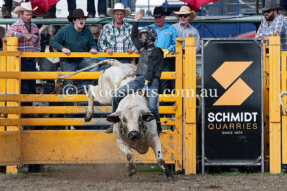 2020 QBN Rodeo-1.jpg