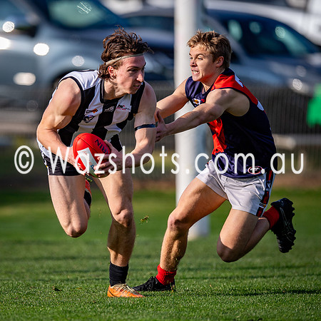 20250531 Sale v Bairnsdale Seniors-018
