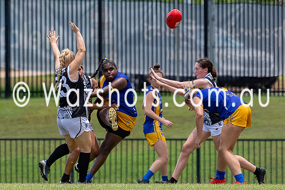 20201121 WPL v Magpies-13.jpg