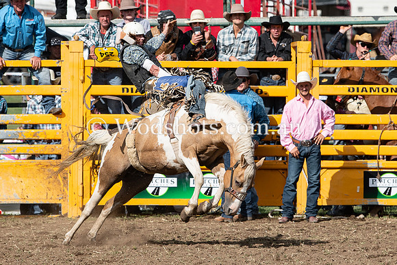2020 QBN Rodeo-17.jpg