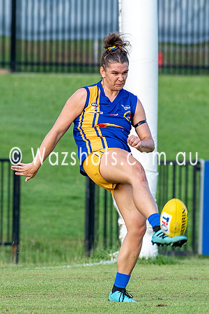 20201017 WPL v Tigers-10.jpg