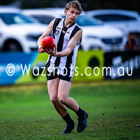 RD15 Sale v Moe 18s-04