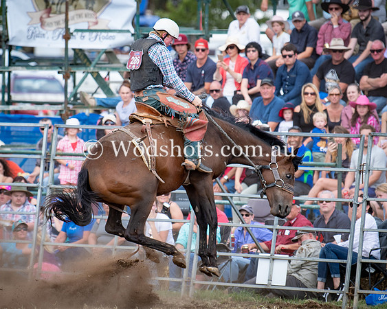 2019 QBN Rodeo-5.jpg