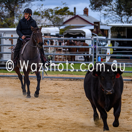 20240519 Calulu Creek Team Penning-10