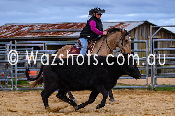 20240519 Calulu Creek Team Penning-19