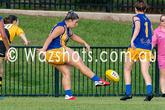 20201017 WPL v Tigers-1.jpg