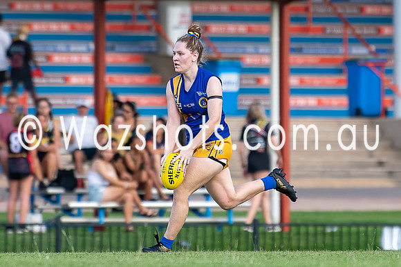 20201017 WPL v Tigers-15.jpg