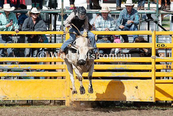 2020 QBN Rodeo-3.jpg