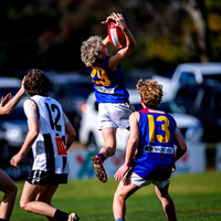 RD15 Sale v Moe 18s-08