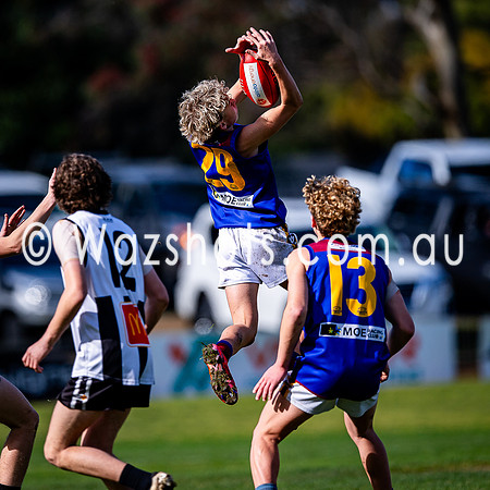 RD15 Sale v Moe 18s-08