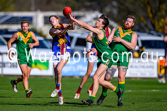 20240907 2nd SF Leongatha v Moe Seniors-66