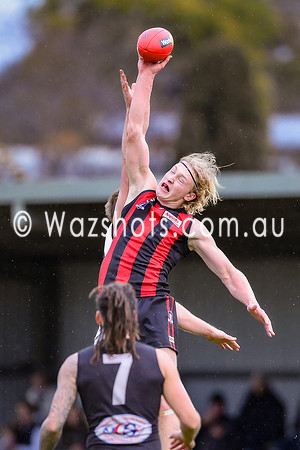 20240727 Maffra v Wonthagi Seniors-104