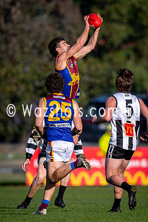 RD15 Sale v Moe Snrs-042