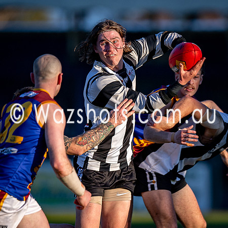 RD15 Sale v Moe Snrs-101